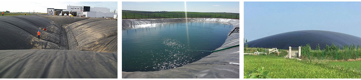 Geomembrane